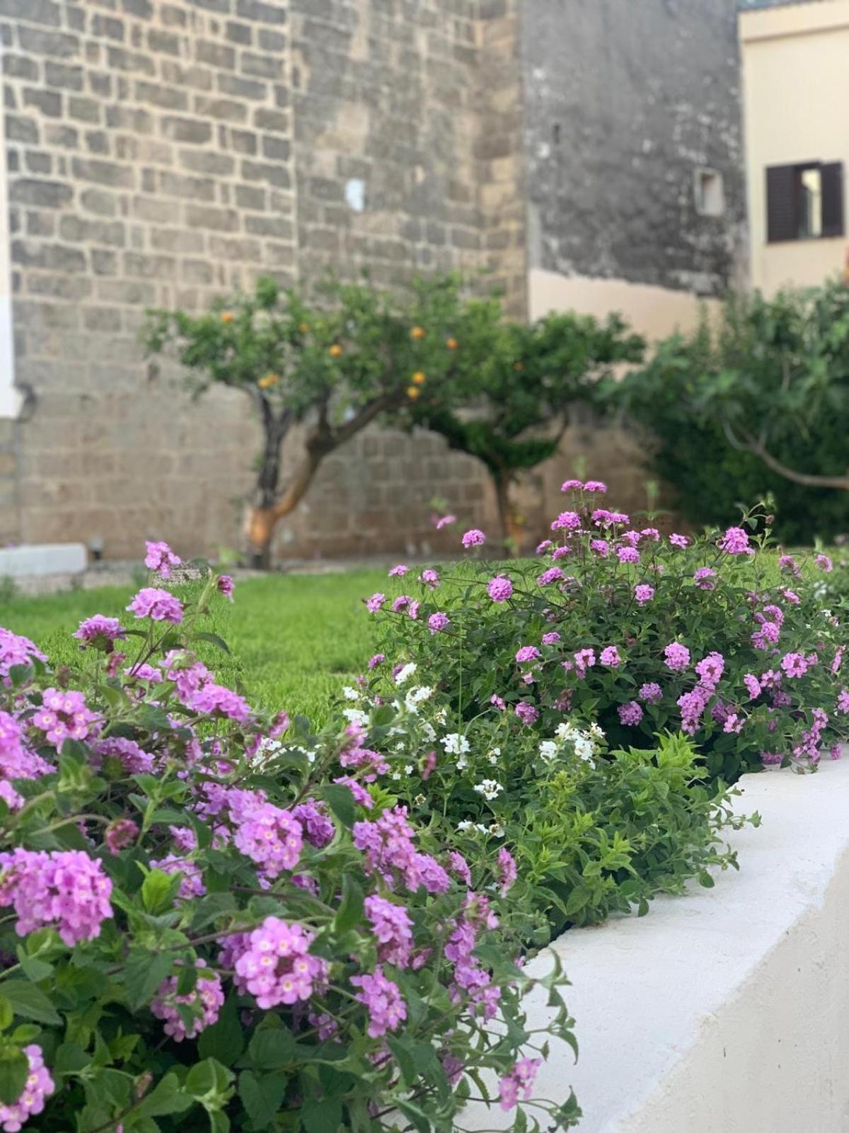 Corte Mercurio B&B Ugento Buitenkant foto