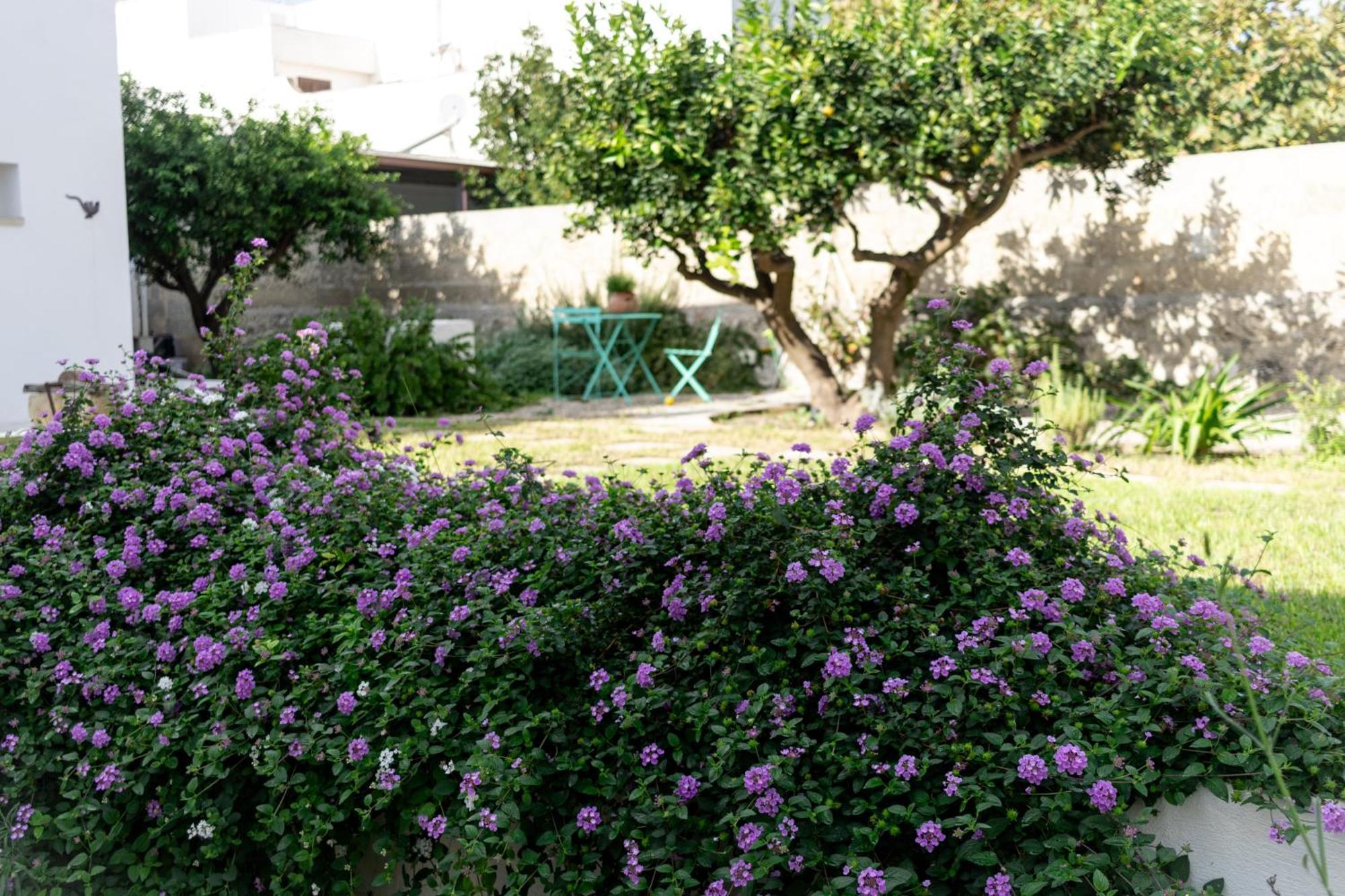 Corte Mercurio B&B Ugento Buitenkant foto